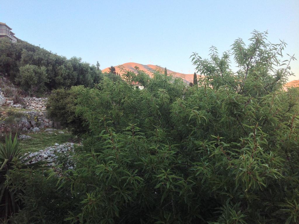 Asteras Studios Argostoli  Exterior foto